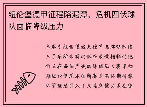 纽伦堡德甲征程陷泥潭，危机四伏球队面临降级压力